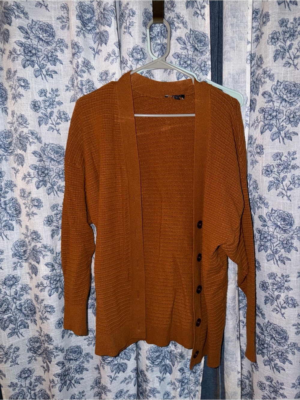 Express Burnt Orange/Brown Sweater